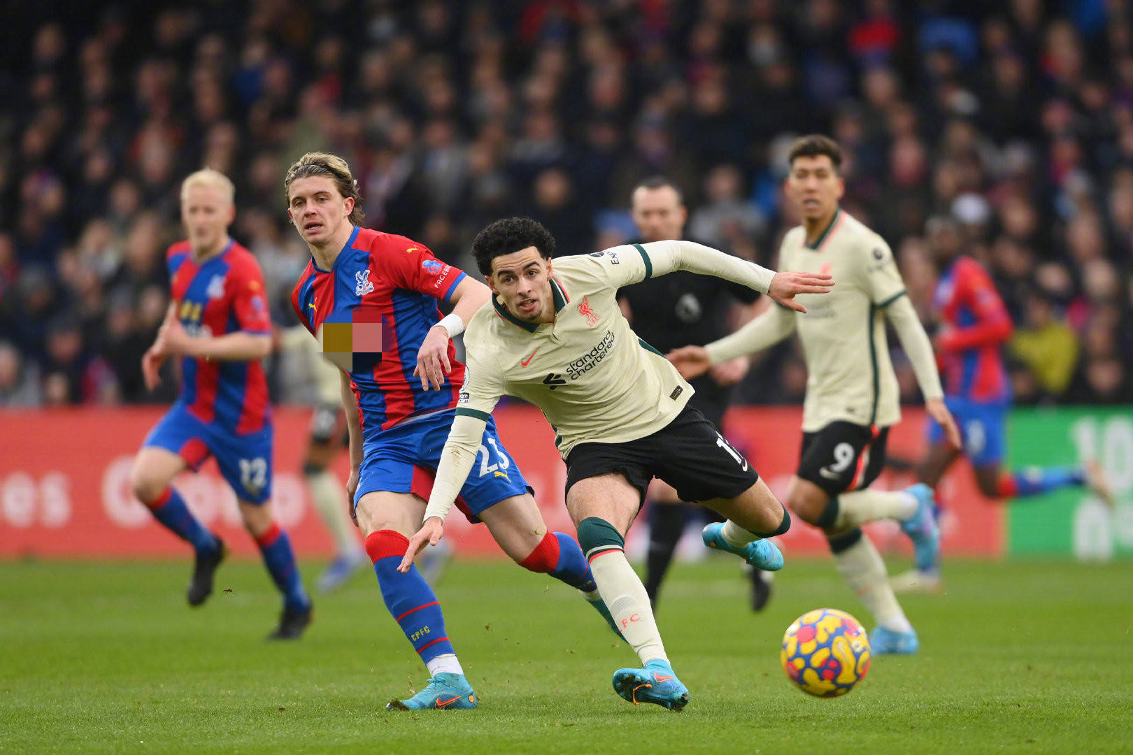 将在不久的 将在不久的